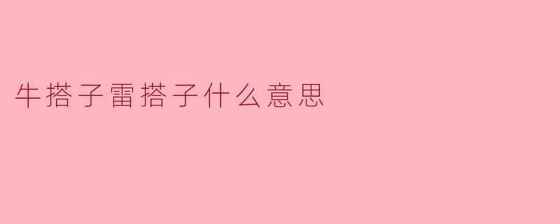 牛搭子雷搭子什么意思