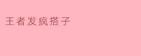 王者发疯搭子
