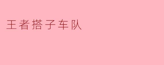 王者搭子车队