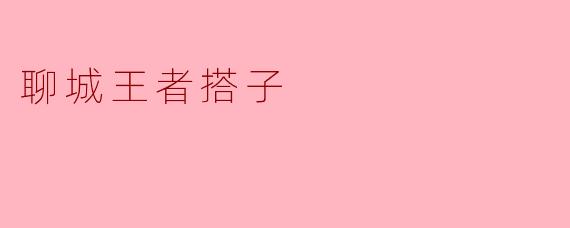 聊城王者搭子