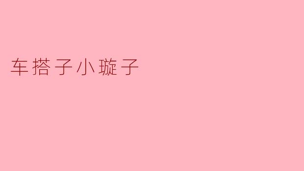 车搭子小璇子