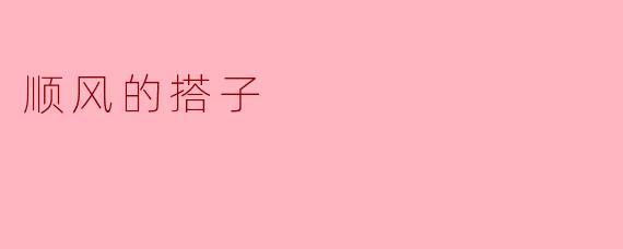 《顺风的搭子:人生旅途中的温暖同行者》