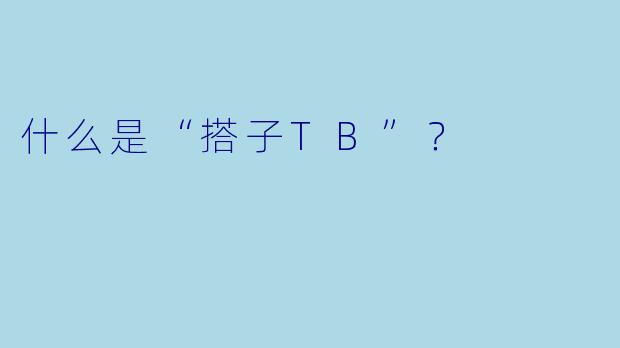 什么是“搭子TB”？