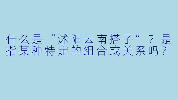 什么是“沭阳云南搭子”？是指某种特定的组合或关系吗？