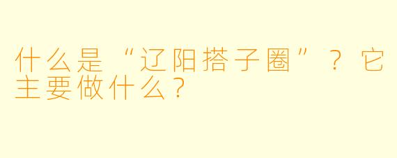 什么是“辽阳搭子圈”？它主要做什么？