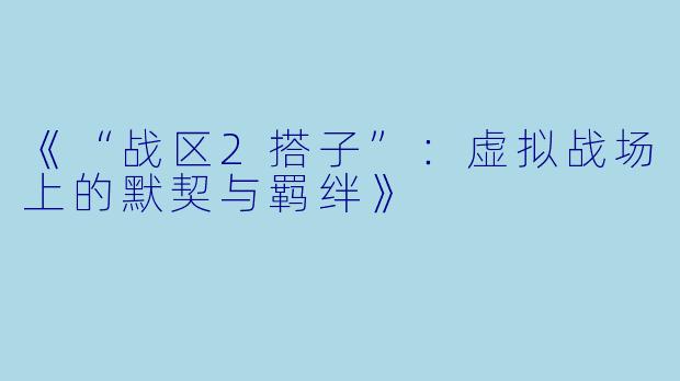 《“战区2搭子”：虚拟战场上的默契与羁绊》
