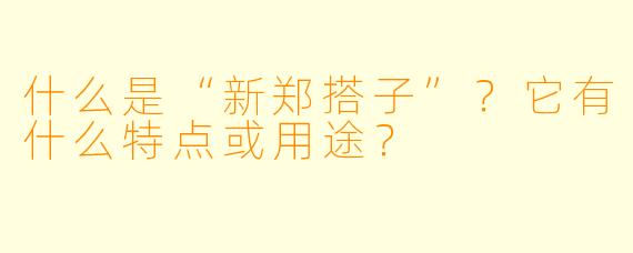 什么是“新郑搭子”？它有什么特点或用途？