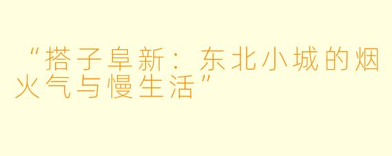 “搭子阜新：东北小城的烟火气与慢生活”