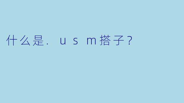 什么是.usm搭子？