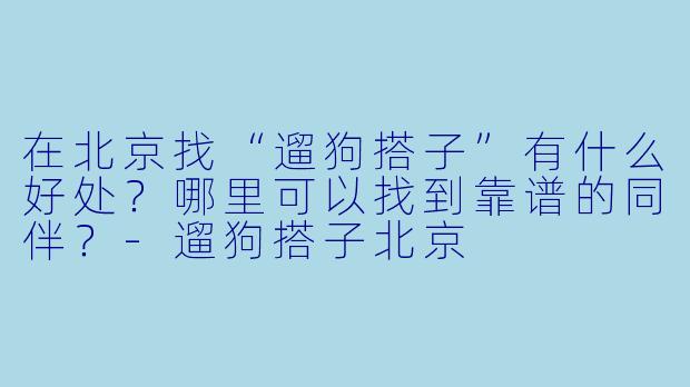在北京找“遛狗搭子”有什么好处？哪里可以找到靠谱的同伴？-遛狗搭子北京