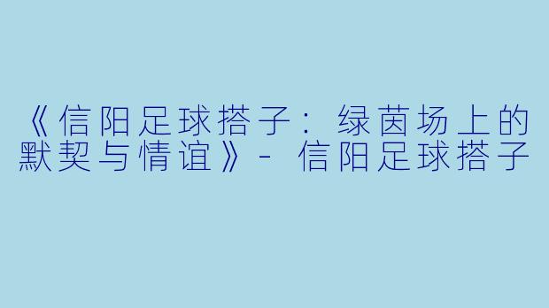 《信阳足球搭子：绿茵场上的默契与情谊》-信阳足球搭子