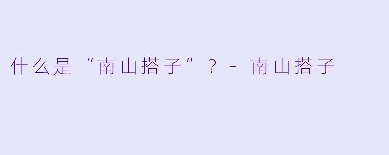 什么是“南山搭子”？-南山搭子