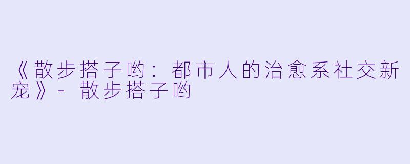 《散步搭子哟：都市人的治愈系社交新宠》-散步搭子哟