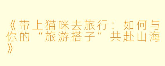 《带上猫咪去旅行：如何与你的“旅游搭子”共赴山海》