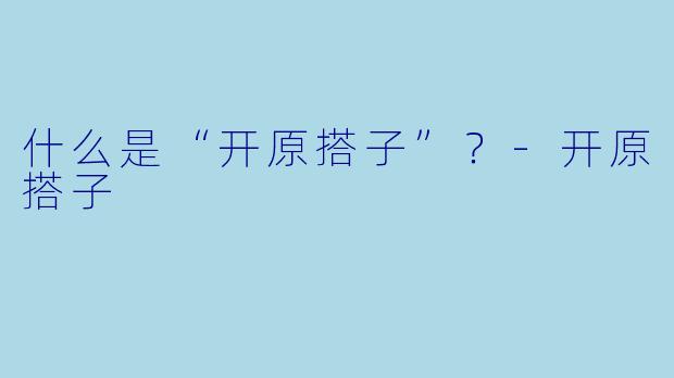 什么是“开原搭子”?