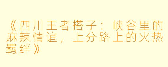 《四川王者搭子：峡谷里的麻辣情谊，上分路上的火热羁绊》
