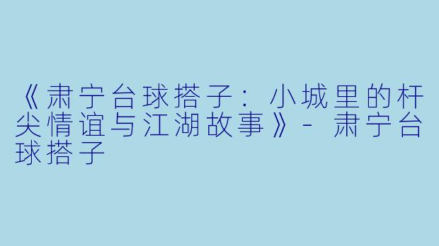 《肃宁台球搭子：小城里的杆尖情谊与江湖故事》-肃宁台球搭子