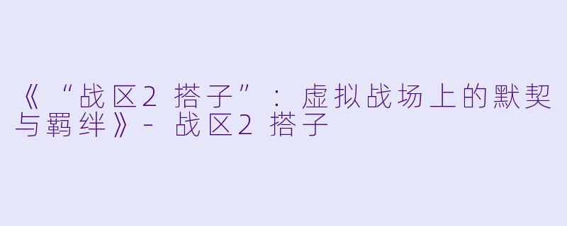 《“战区2搭子”：虚拟战场上的默契与羁绊》-战区2搭子