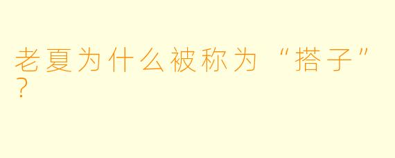 老夏为什么被称为“搭子”？