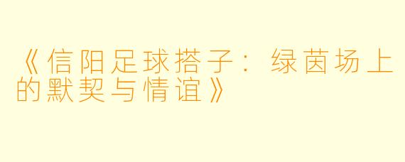 《信阳足球搭子：绿茵场上的默契与情谊》
