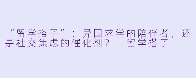 “留学搭子”：异国求学的陪伴者，还是社交焦虑的催化剂？-留学搭子