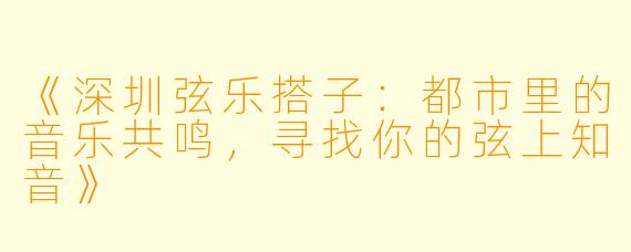 《深圳弦乐搭子：都市里的音乐共鸣，寻找你的弦上知音》