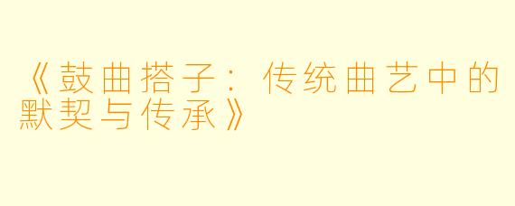 《鼓曲搭子：传统曲艺中的默契与传承》