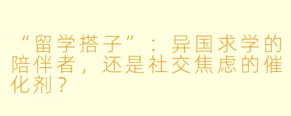 “留学搭子”：异国求学的陪伴者，还是社交焦虑的催化剂？