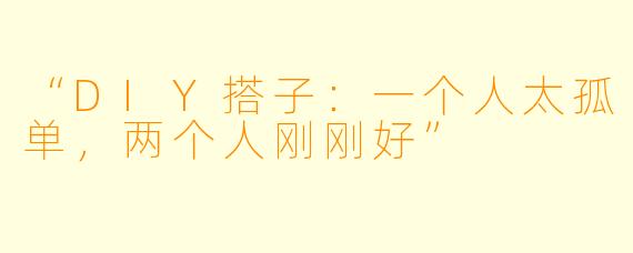 “DIY搭子：一个人太孤单，两个人刚刚好”