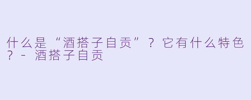 什么是“酒搭子自贡”？它有什么特色？-酒搭子自贡