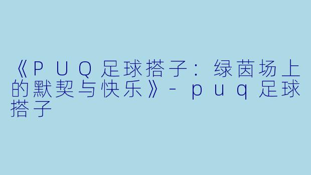 《PUQ足球搭子：绿茵场上的默契与快乐》-puq足球搭子
