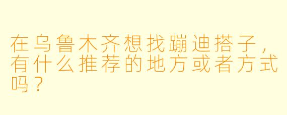 在乌鲁木齐想找蹦迪搭子，有什么推荐的地方或者方式吗？