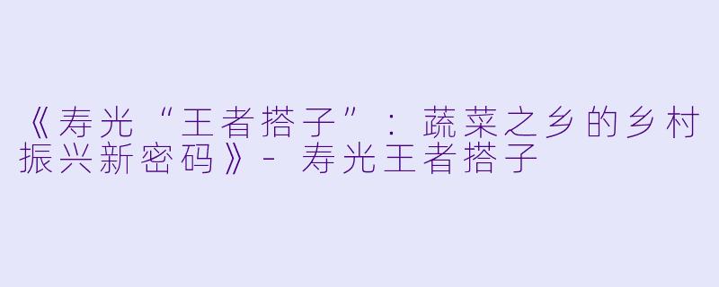 《寿光“王者搭子”：蔬菜之乡的乡村振兴新密码》-寿光王者搭子