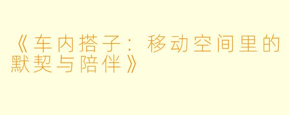 《车内搭子：移动空间里的默契与陪伴》