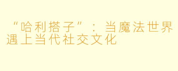 “哈利搭子”：当魔法世界遇上当代社交文化