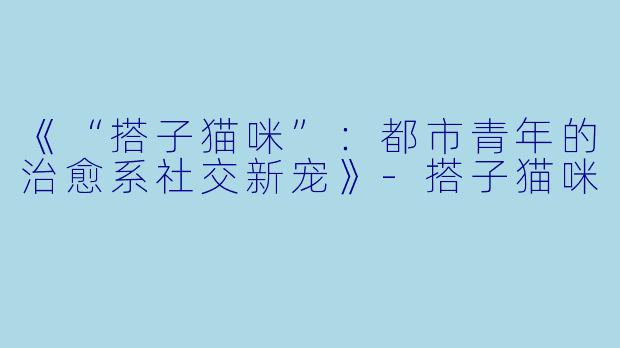 《“搭子猫咪”：都市青年的治愈系社交新宠》-搭子猫咪