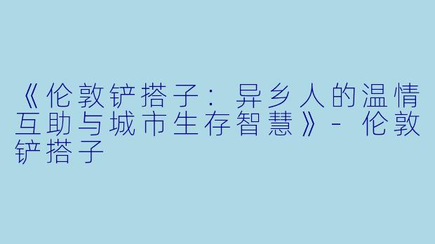 《伦敦铲搭子：异乡人的温情互助与城市生存智慧》-伦敦铲搭子