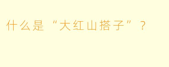 什么是“大红山搭子”？
