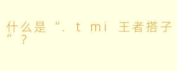 什么是“.tmi王者搭子”？