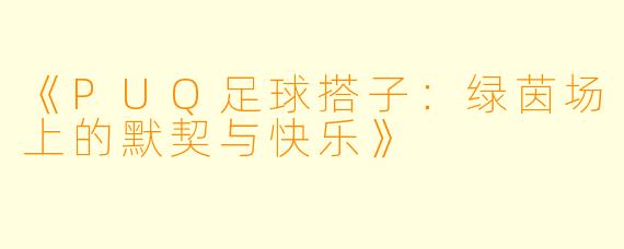 《PUQ足球搭子：绿茵场上的默契与快乐》