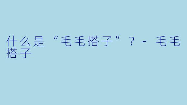 什么是“毛毛搭子”？-毛毛搭子