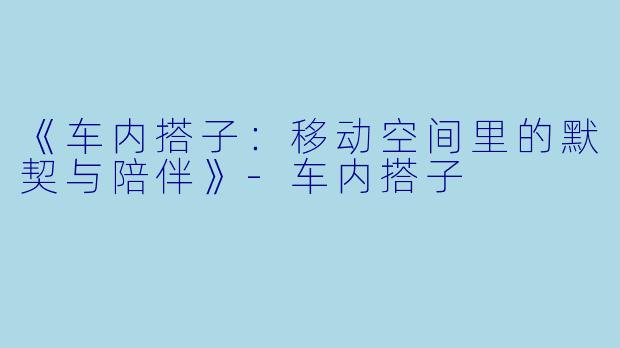 《车内搭子：移动空间里的默契与陪伴》