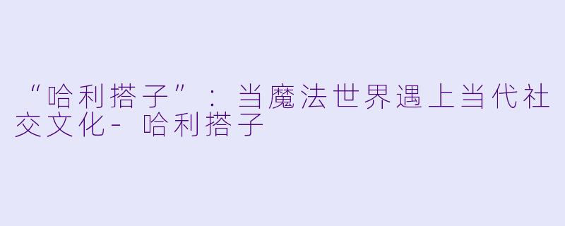 “哈利搭子”：当魔法世界遇上当代社交文化-哈利搭子