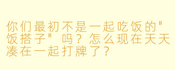 你们最初不是一起吃饭的"饭搭子"吗?怎么现在天天凑在一起打牌了?