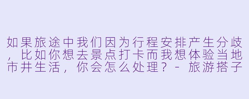 如果旅途中我们因为行程安排产生分歧，比如你想去景点打卡而我想体验当地市井生活，你会怎么处理？-旅游搭子面试