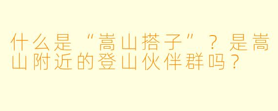 什么是“嵩山搭子”？是嵩山附近的登山伙伴群吗？