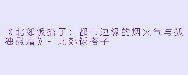 《北郊饭搭子：都市边缘的烟火气与孤独慰藉》-北郊饭搭子