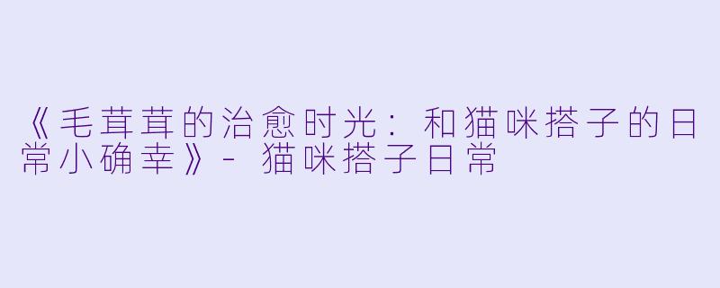 《毛茸茸的治愈时光：和猫咪搭子的日常小确幸》-猫咪搭子日常