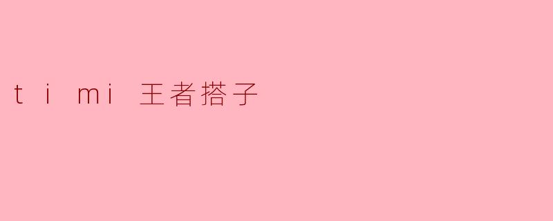 timi王者搭子