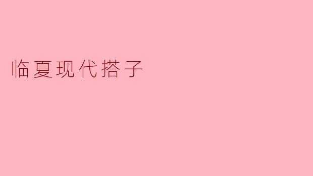 什么是“临夏现代搭子”?它有什么特色?